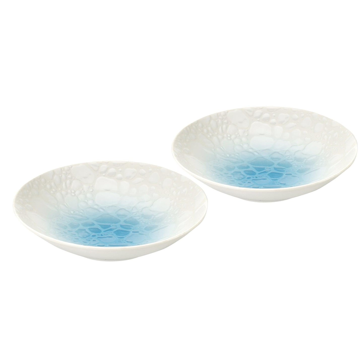 Curry plates (Shimmering / CHURA / Pair set) - ECI Online store│One dollar 100 yen shop