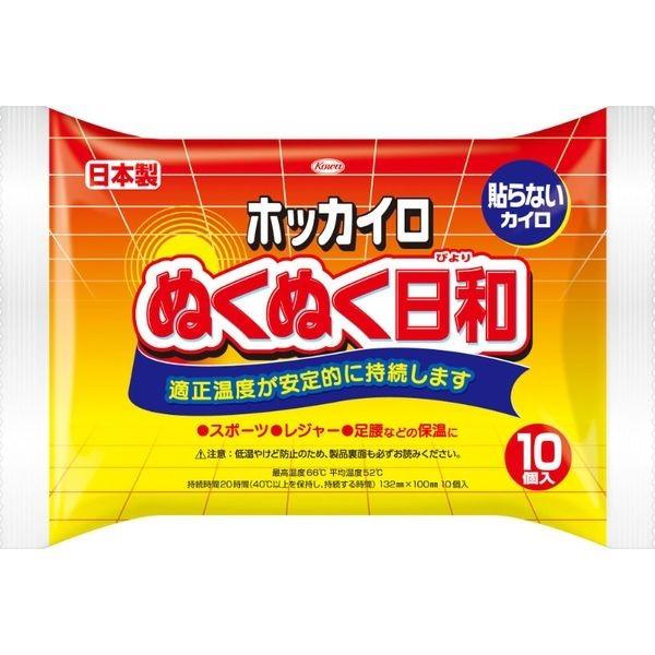 Hot pack (Portable / Regular / 10P) - ECI Online store│One dollar 100 yen shop